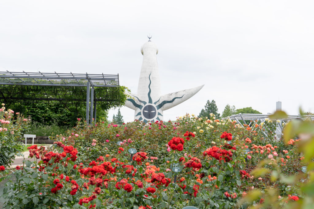 バラ園の風景 バラ園 - 北九州市立響灘緑地/グリーンパーク【公式サイト】
